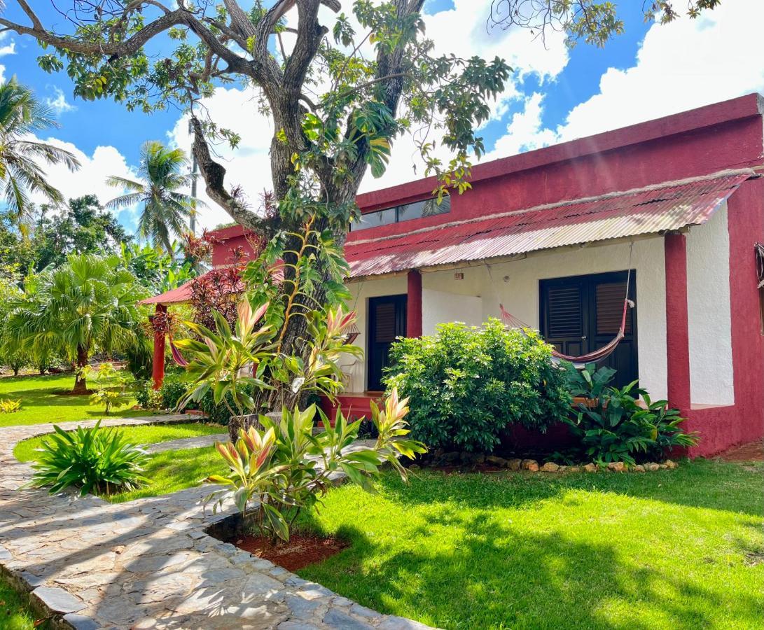 Hotel Rincon Rubi Las Galeras Extérieur photo